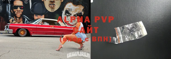 индика Волосово
