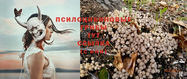 соль ск Володарск