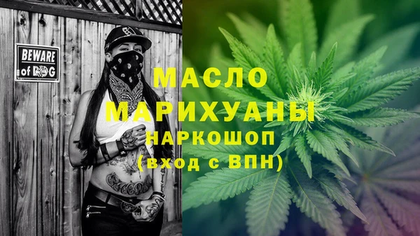 индика Волосово