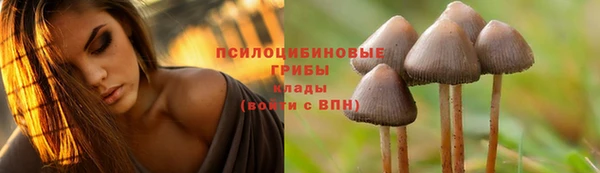 mdpv Верея