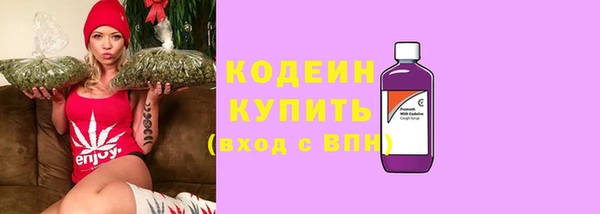 индика Волосово