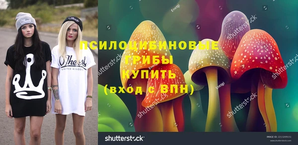 mdpv Верея