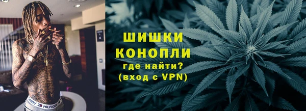 индика Волосово