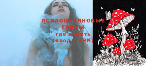 mdpv Верея