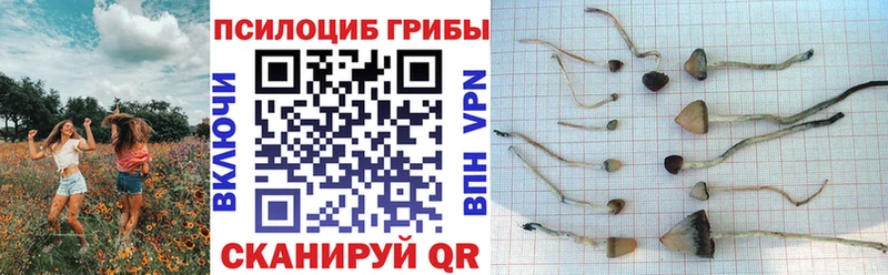 Псилоцибиновые грибы ЛСД  Севастополь 